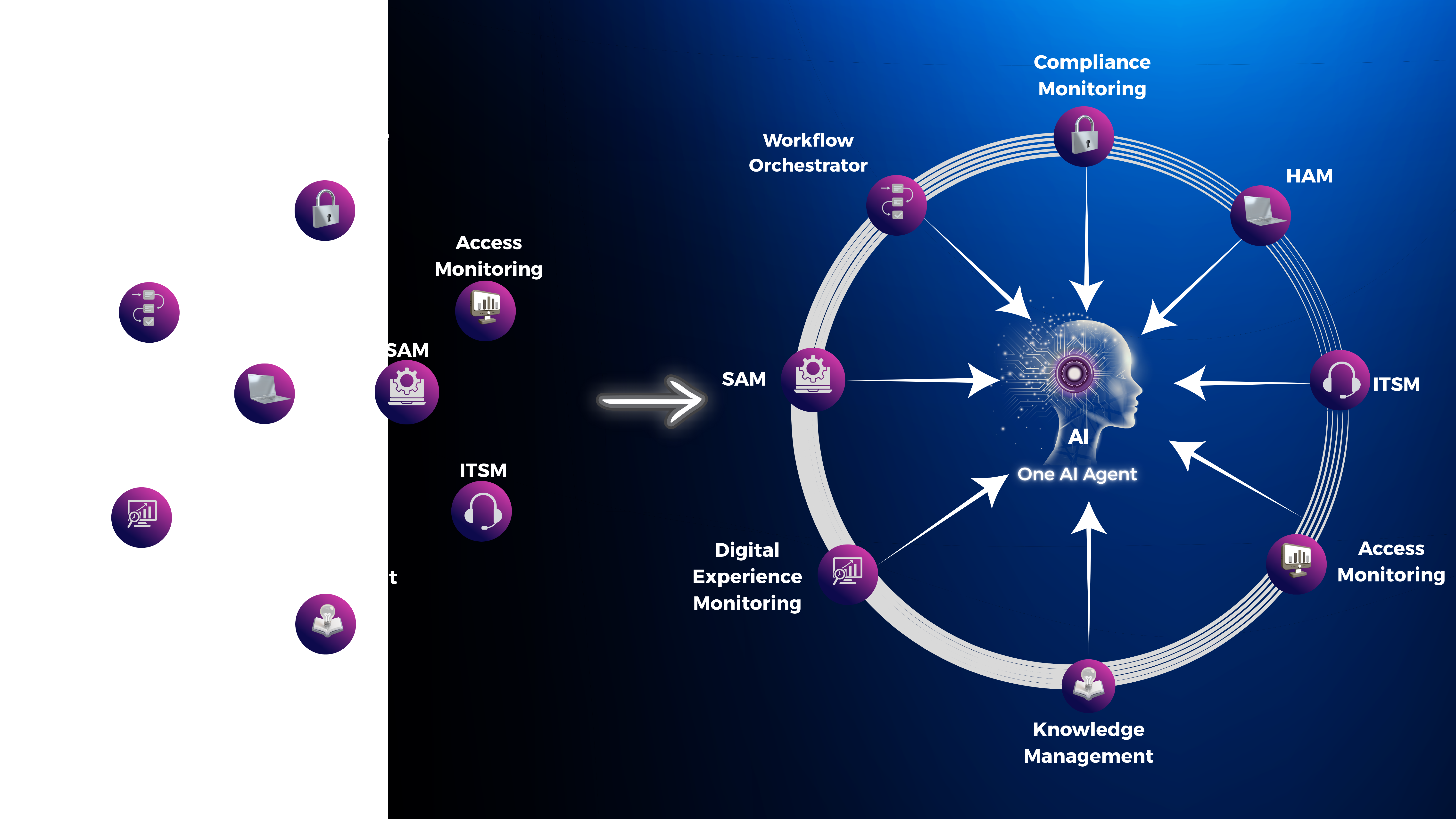 Strategic Overview